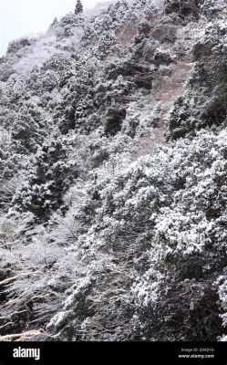 カメラのキタムラ 河内長野 - 写真と記憶の交差点